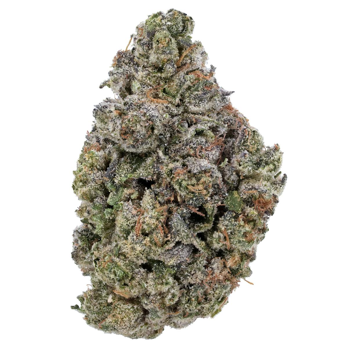 Image of Grape Gary