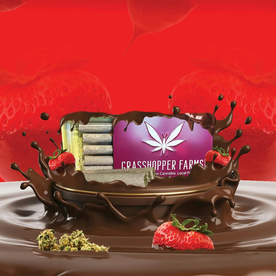 Product: Grasshopper Farms | Chocolate Covered Strawberry | Infused Pre-rolls Tin | 1g x 5 | Indica
