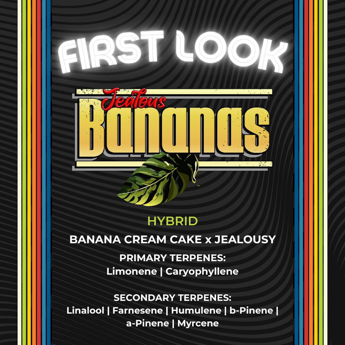 Photo of Jealous Bananas