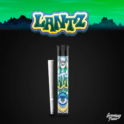 Growing Pains - 1g Preroll - Lantz - PRE_ROLLS by Growing Pains at King of Budz