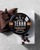 Product Espresso Bites | Terra Chocolate 20pk