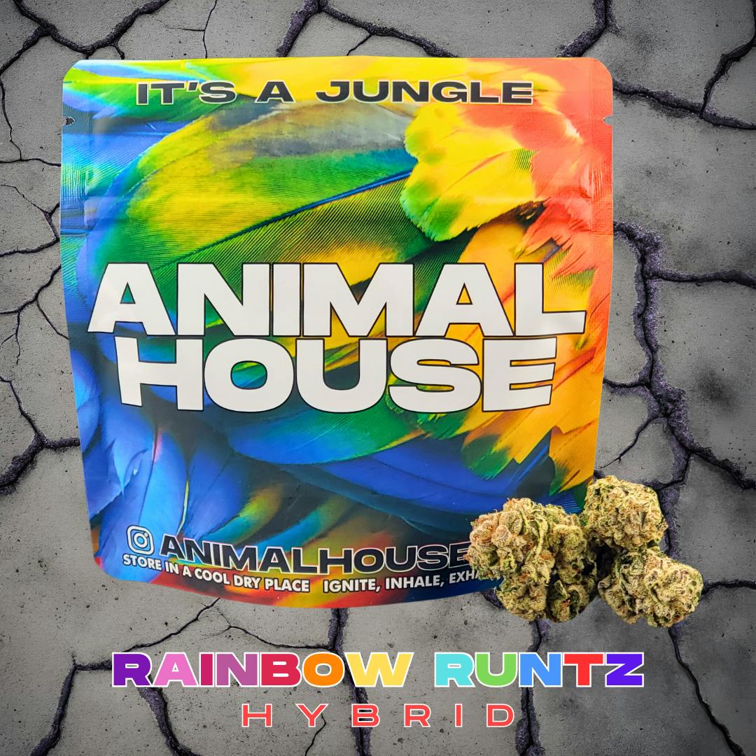 Animal House | Rainbow Runtz | 3.5g