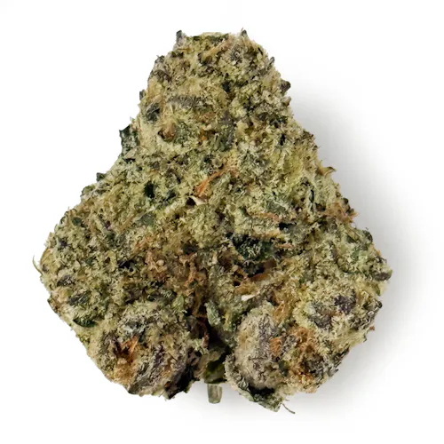 Voyage Bloom Black Magic Prepack Rec-active