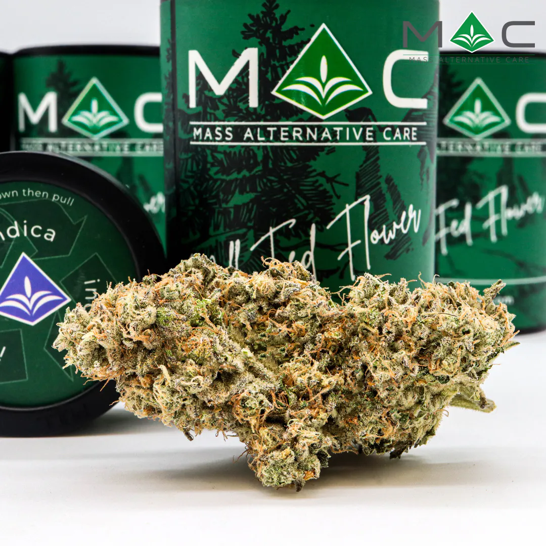 Space Center 1/8 32.04% TAC 2.69% Terpenes | Mass Alternative Care