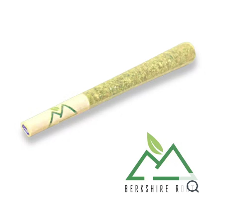 Product Berkshire Roots | Snowdog | Preroll