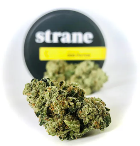 Alien Mints Flower-active