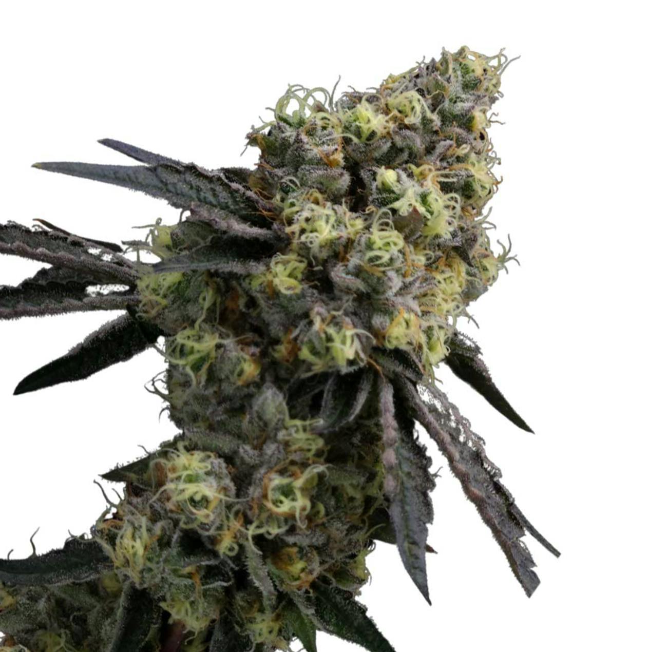 Product: Wedding Cake [3.5g]