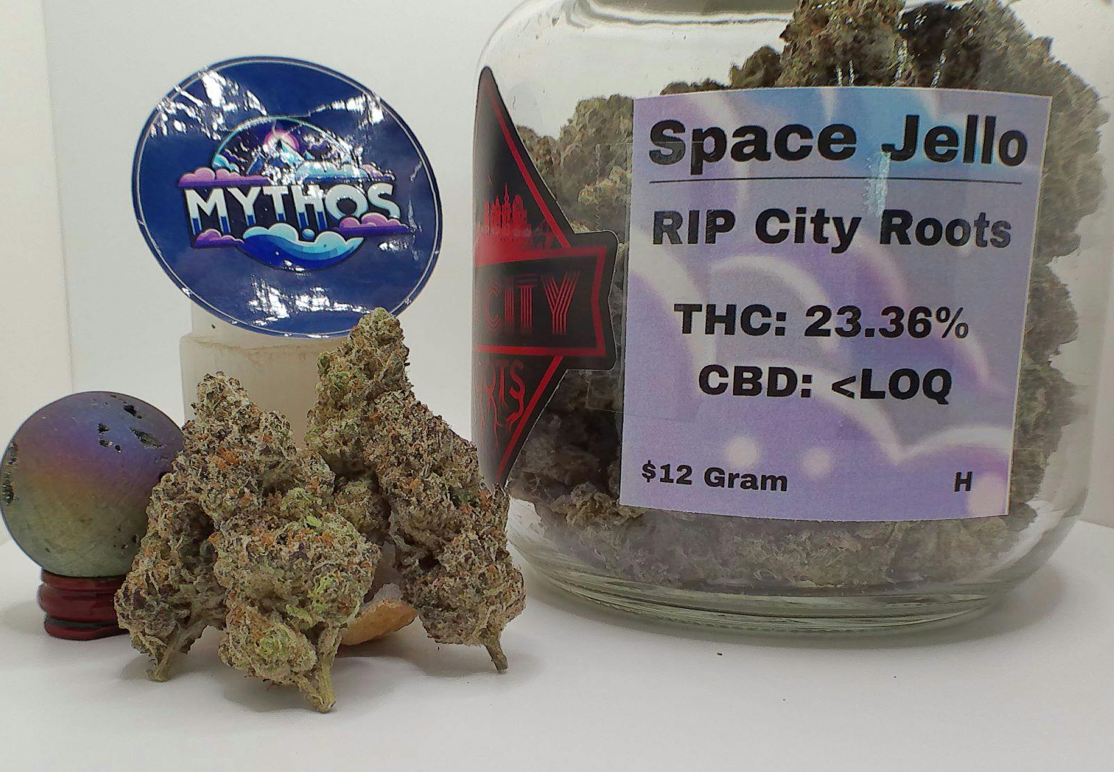Space Jello | Rip City Roots-1