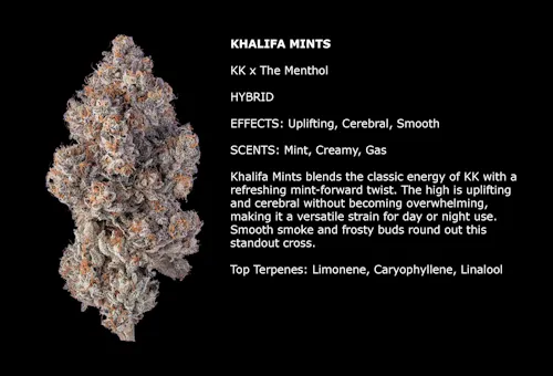 Khalifa Mints-2