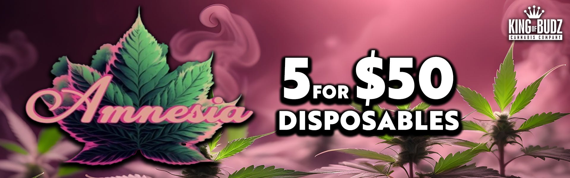 Amnesia 1G Disposables 5 For $50