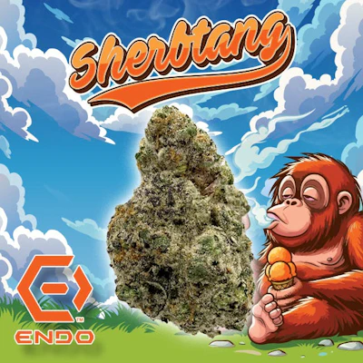 Endo - 3.5g Prepack - Sherbtang
