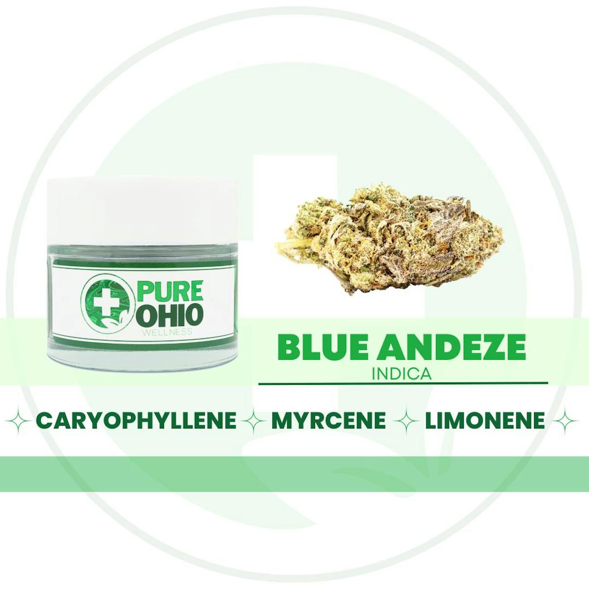 Photo of Blue Andeze