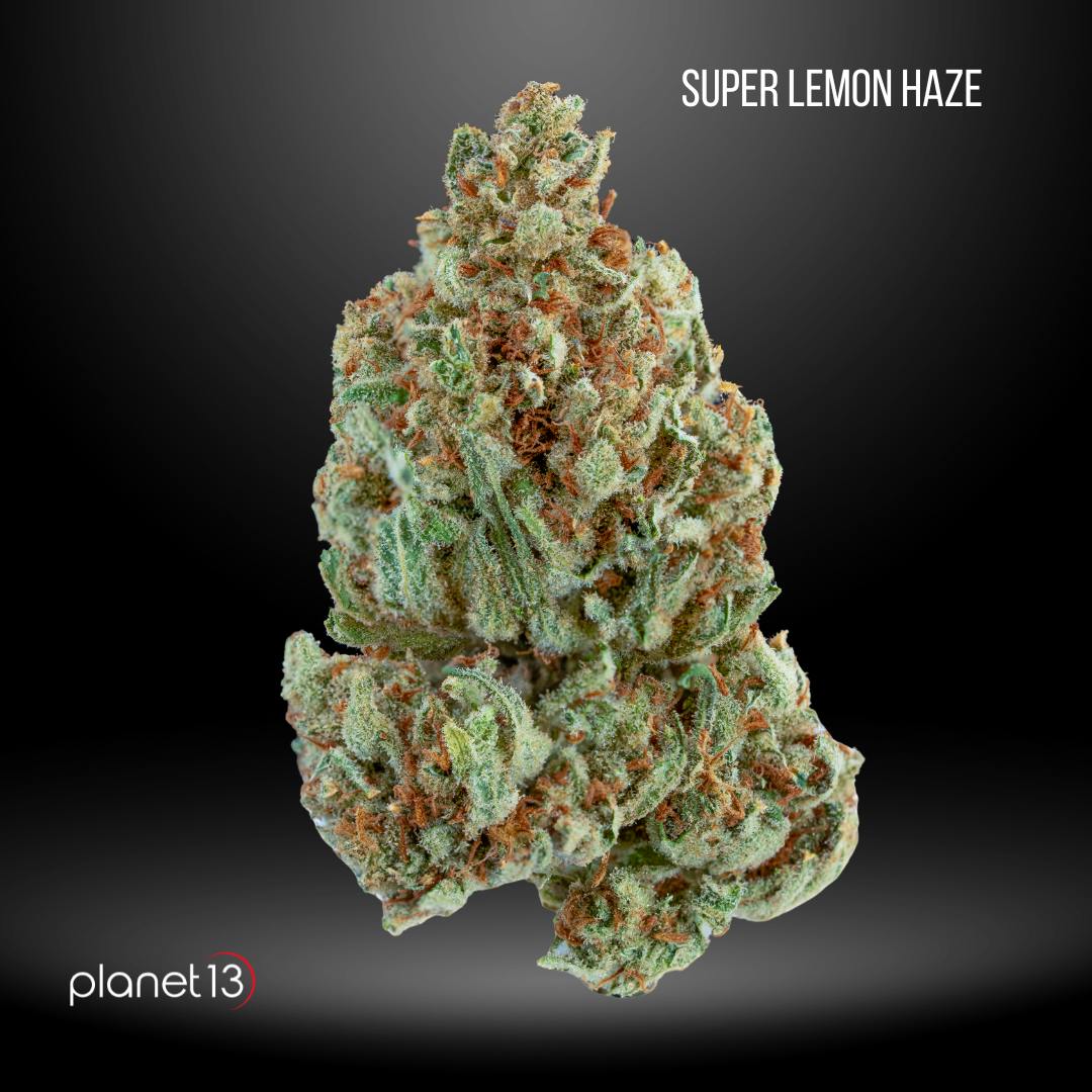 Cannabis Whole Flower | Planet 13 FL - Port Richey