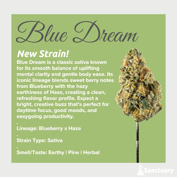 Blue Dream (SH) - 3.5g Flower - Sanctuary Medicinals