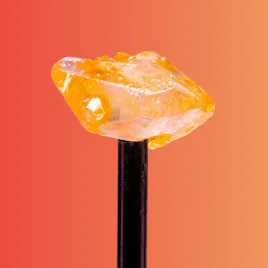 Concentrates category image