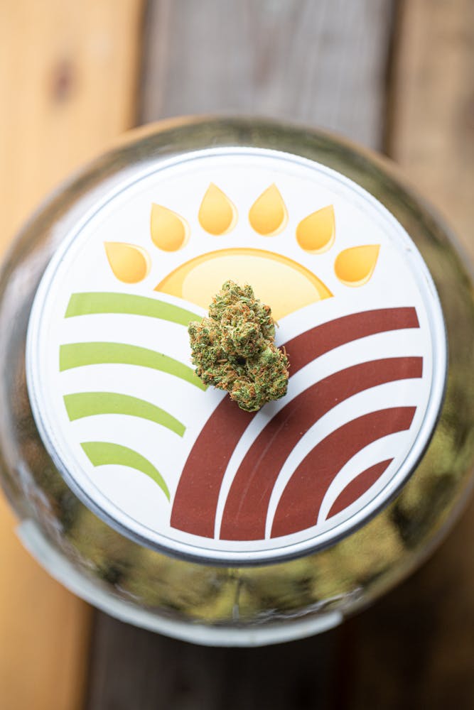 Image of product