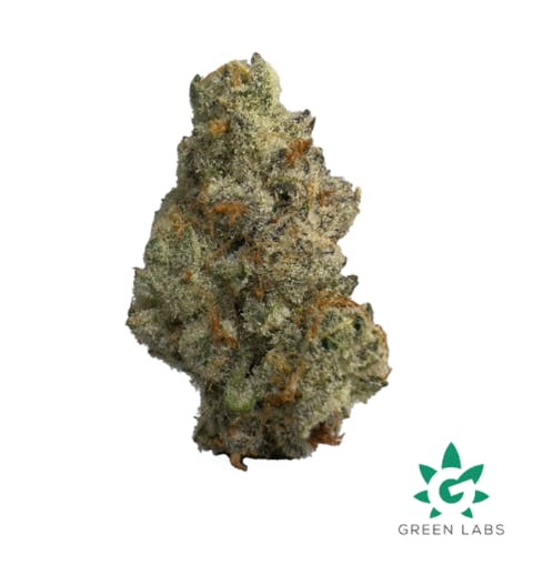 Product: Orange Kush Cake | Dutch Touch Genetics