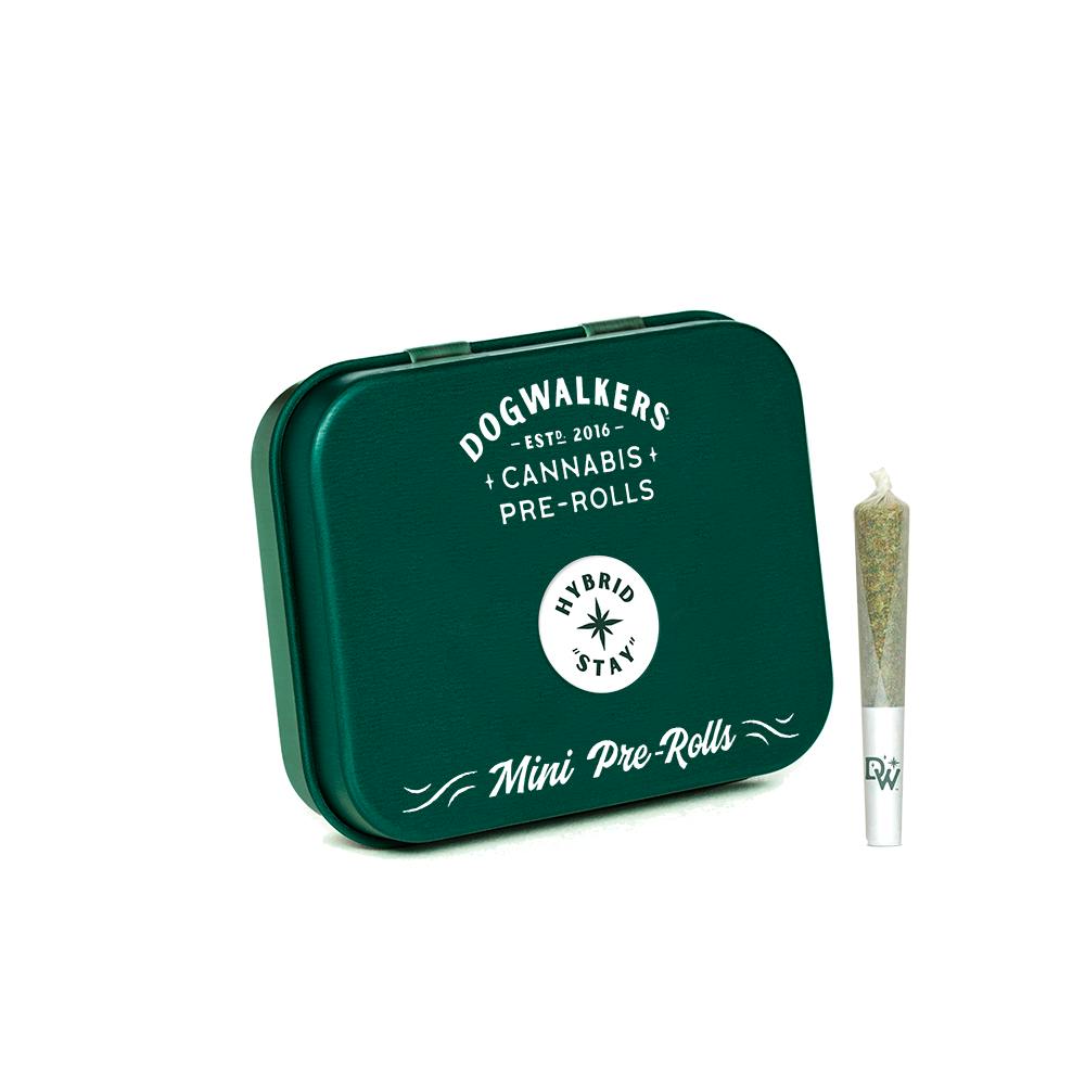 &Shine | Brownie Scout | Pre-Roll Pack-1