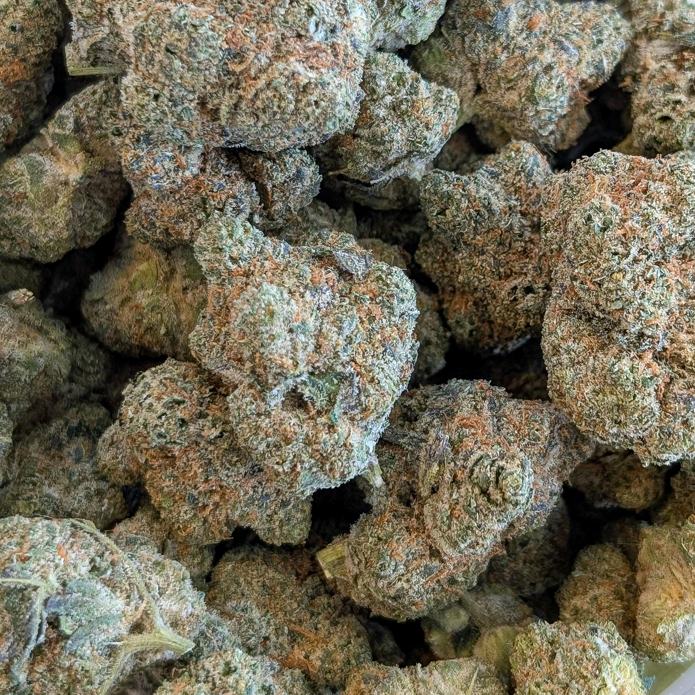 OGKB 2.0 (I) - Deli-Style - Berkshire Roots | Bloom Brothers