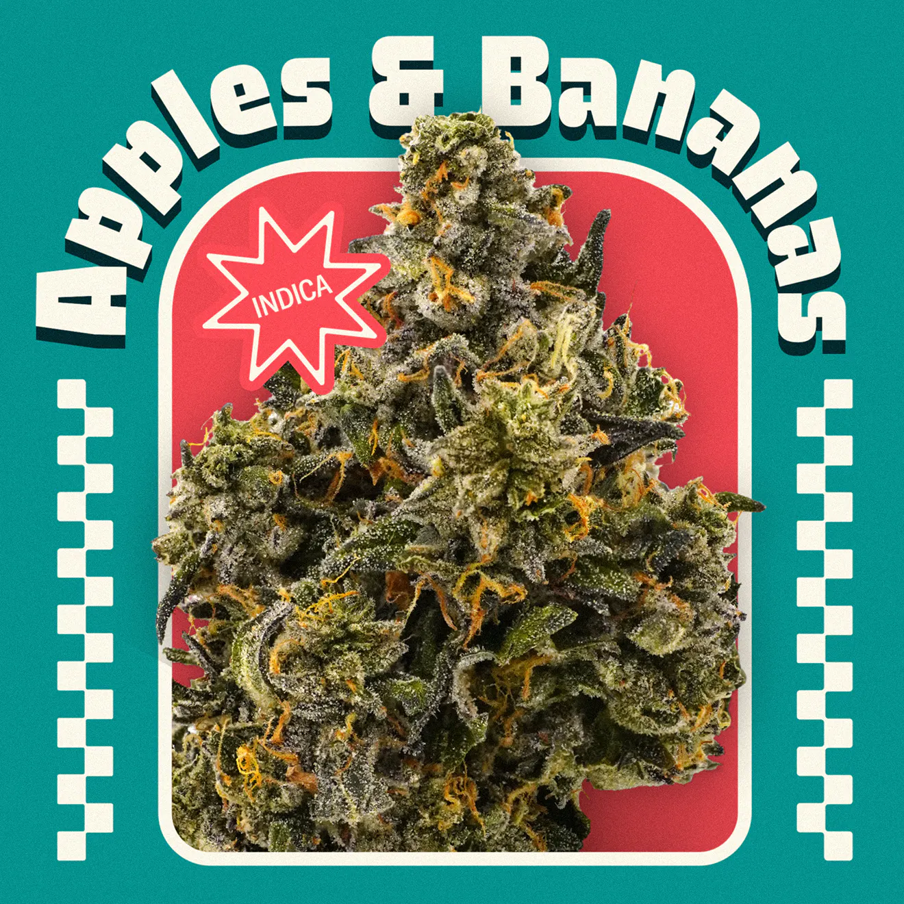 Apples and Bananas (Popcorn) | Indica | [14.15g] at Terrasana
