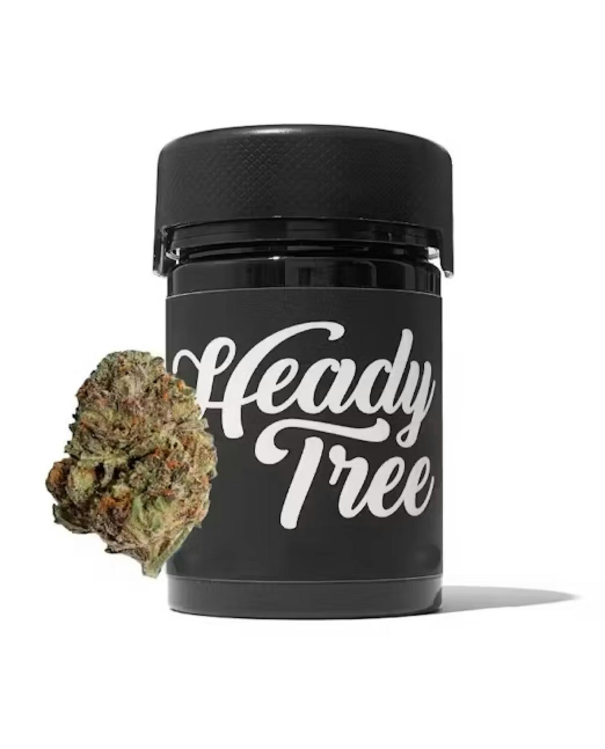 Photo of Heady Tree – Gastronaut Status