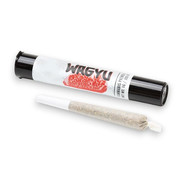 Rolled up and ready to smoke, Pre-Roll packs are a convenient and effective way to consume cannabis. Pre-Roll packs generally contain smaller pre-rolls so that each can be consumed in one sitting.