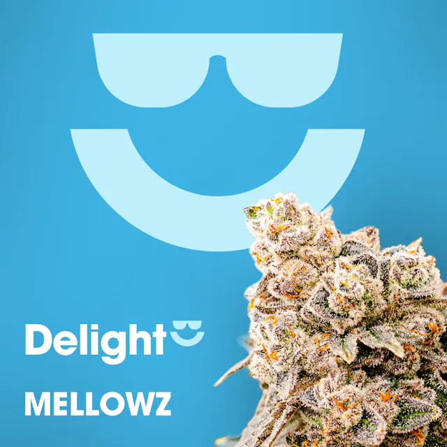 Delight Flower Mellowz 3.5g (hybrid)
