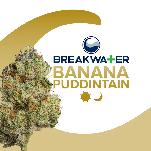 Breakwater Flower Banana Puddintain 3.5g (hybrid)