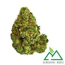 Product Watermelon Z | Flower | 3.5g