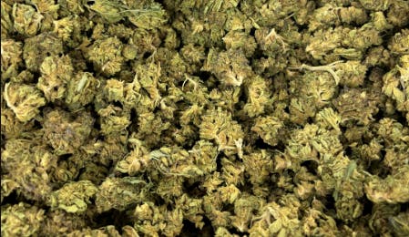 Product: Caramel Cream | Distro 10