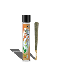 Mango - Infused Preroll 1.2g