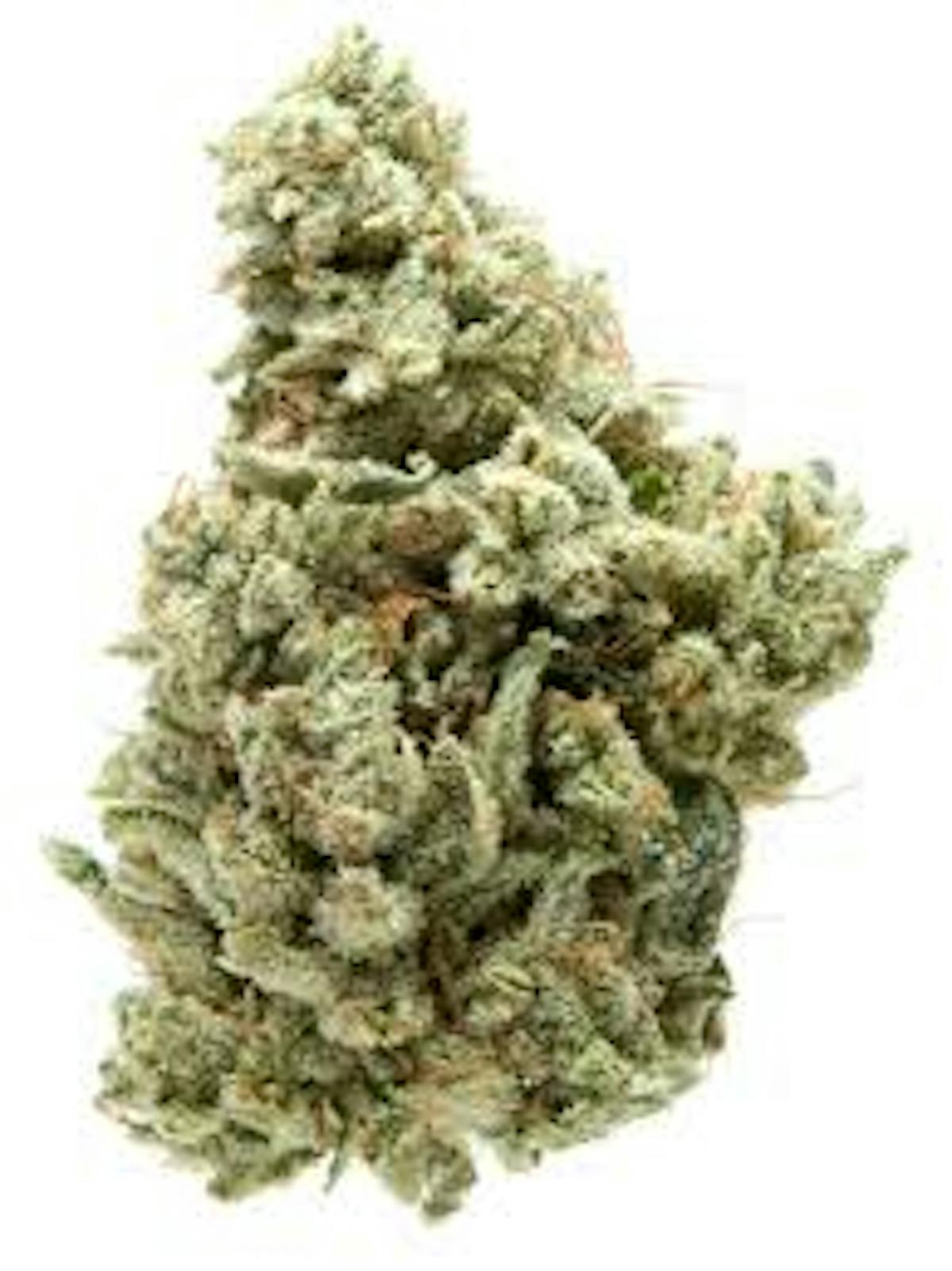 Photo of Popcorn Shelf – GG#4 (I)