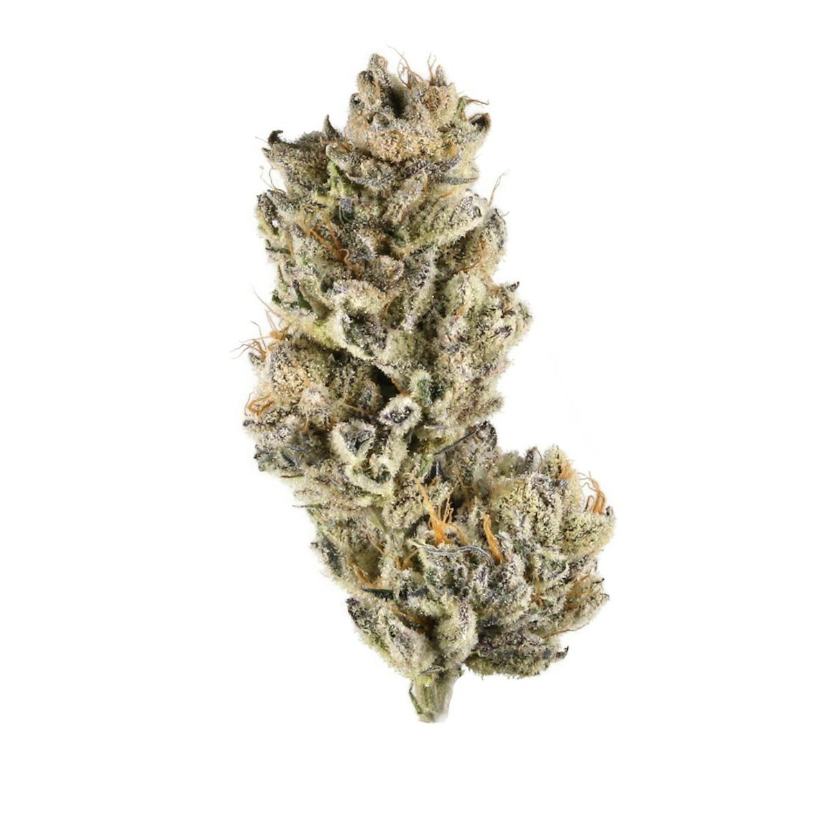 Image of Purple Punch | 3.5g