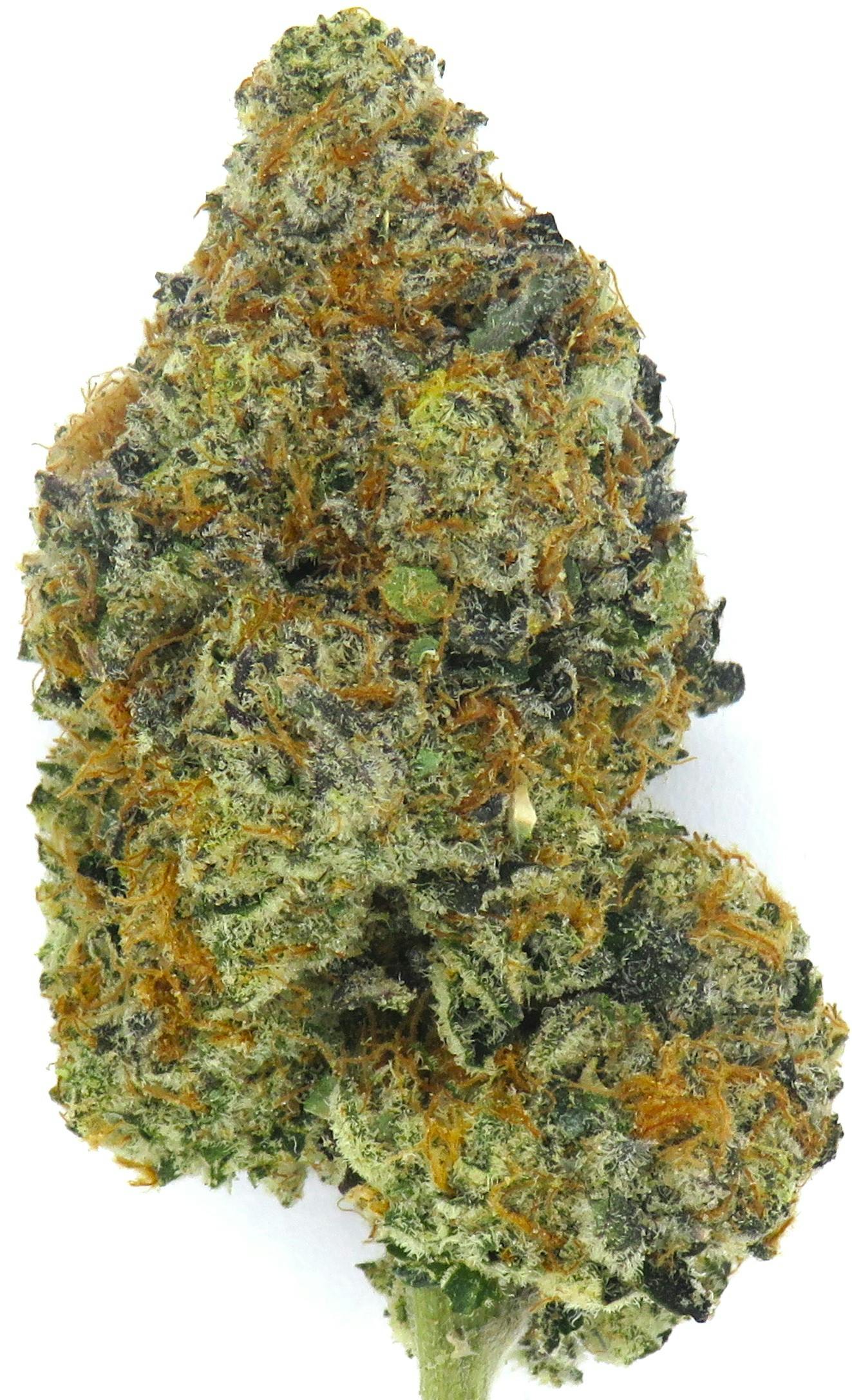 Magic Pop Rocks | New Lyfe