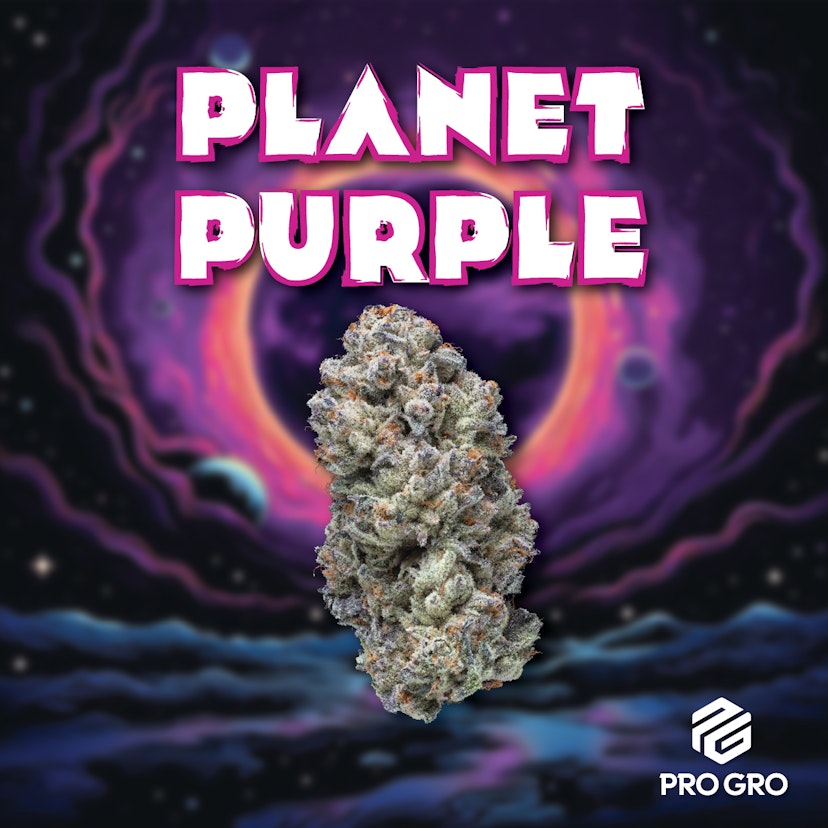 Pro Gro | Frozen Berries