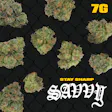 Stomper Kush