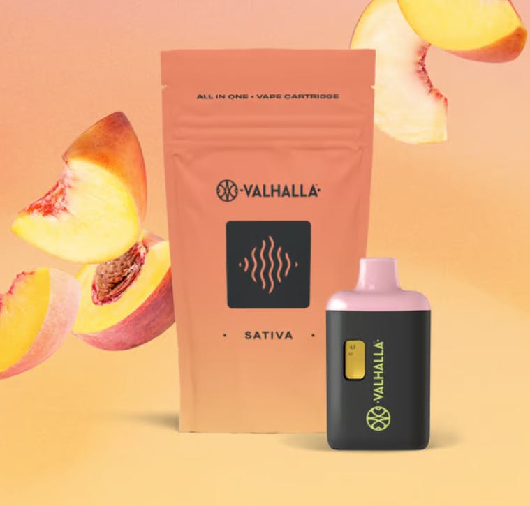 Valhalla (TerrAscend) Strawberry Cheesecake | Disposable Vape | 1g - Union  Chill Cannabis Company Dispensary in Lambertville, NJ