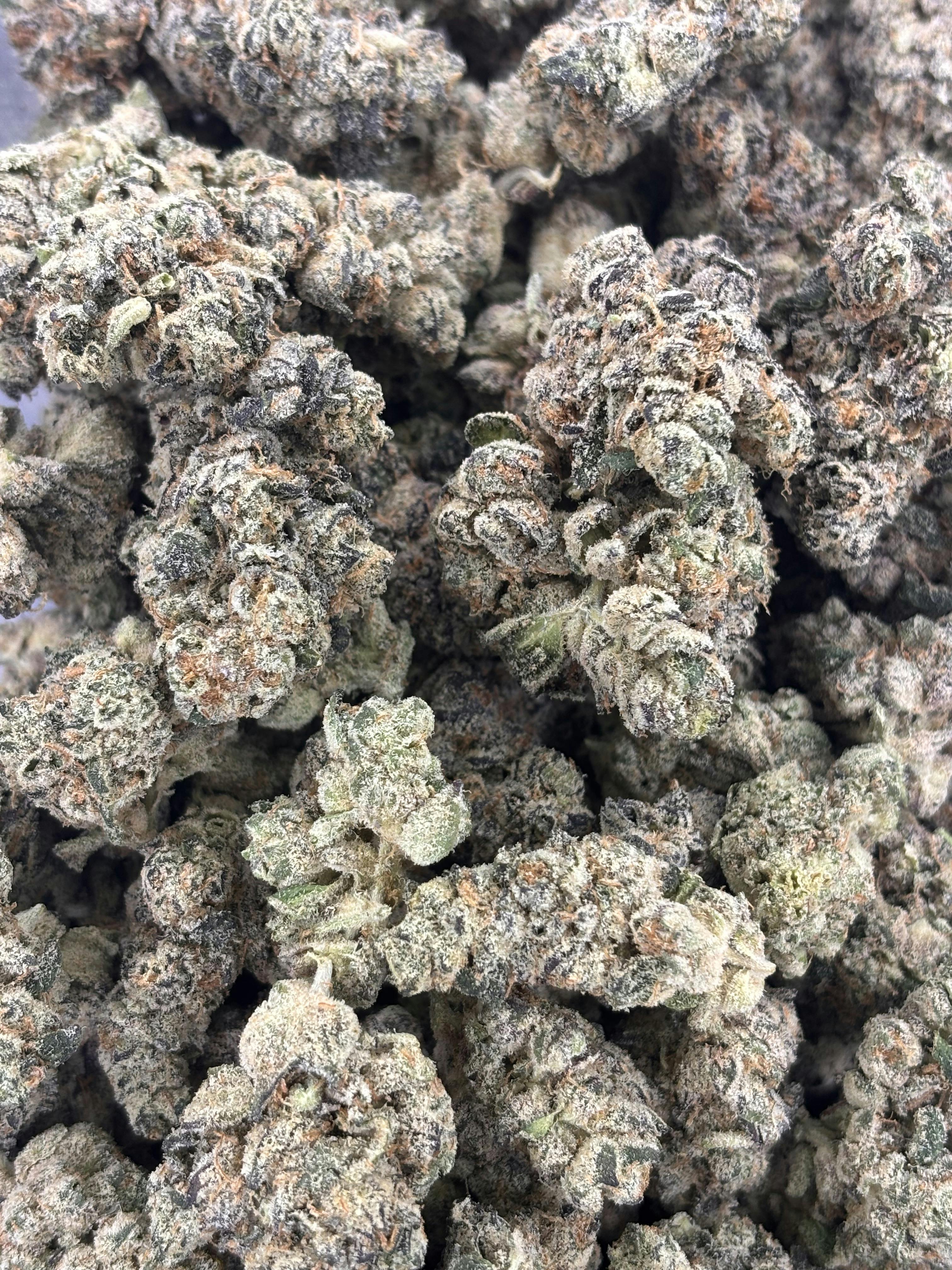 Cookies | Blue Suede | Deli Flower