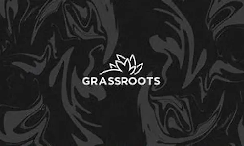Grassroots 100mg Full Spectrum RSO Capsules 1g/1000mg-active