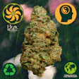 Flow State Lemon Shiv