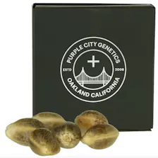 Seeds category image
