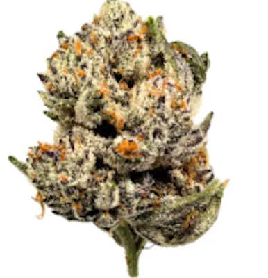 Product: Decked Out | Rare Michigan Genetics