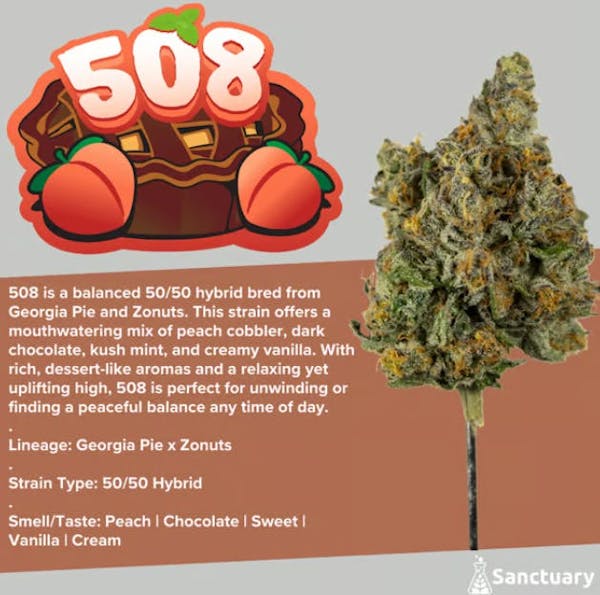 508 (H) | 3.5g | Flower | Sanctuary | 30.74%