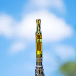 Vaporizers category image