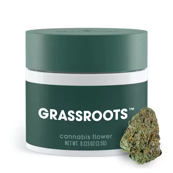 CityLeaf Dispensary | Newark, NJ Dispensary | My Dispensary