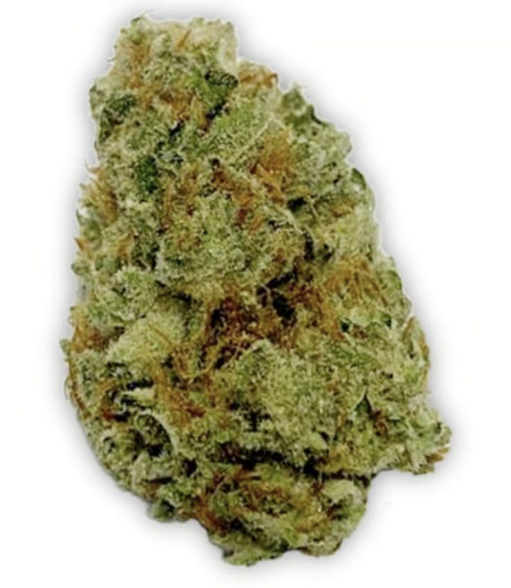 Vireo Indoor Sativa Flower 7g- Stoopid Fruits-1