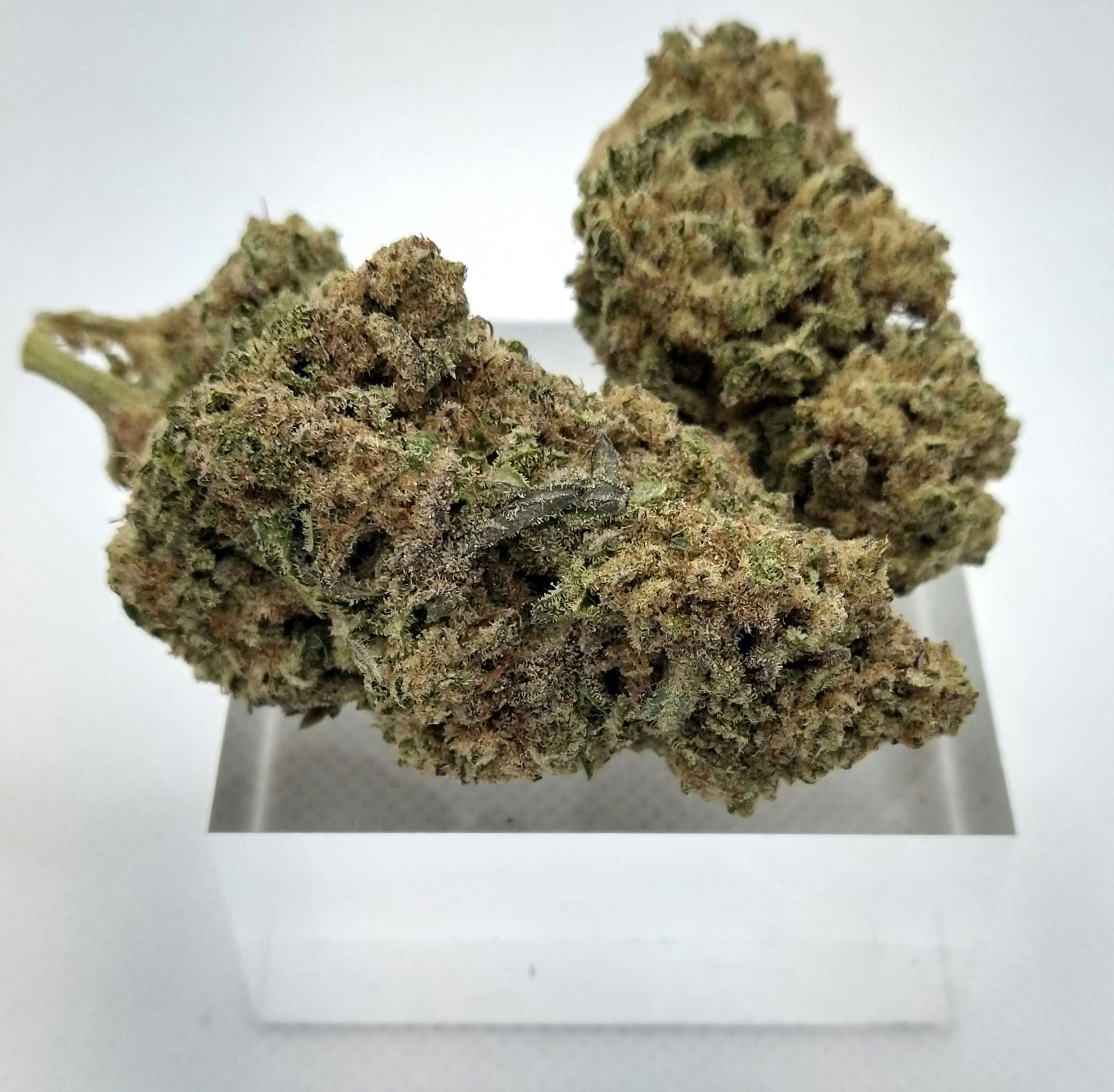 Product: Grasshopper Farms | Mac1 | Hybrid | Bulk Flower | BRONZE