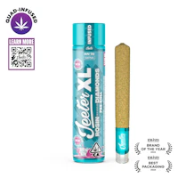 Mai Tai Jeeter XL Infused Pre-Roll | 2g - product image at King of Budz