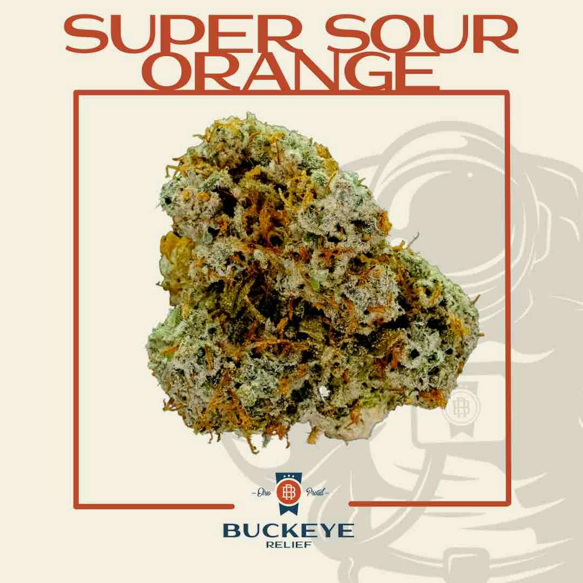 Photo of Super Sour Orange Small Buds