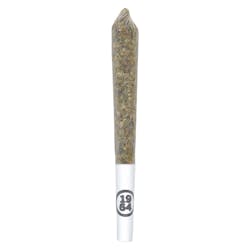 Infused Pre-Roll | 1964 - Resin Roll Blue Dream - Sativa - 1x0.5g